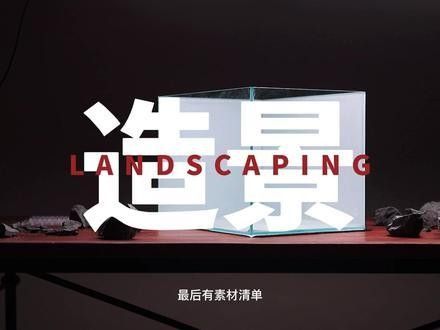 雷龍魚(yú)魚(yú)缸簡(jiǎn)單好看造景圖片大全