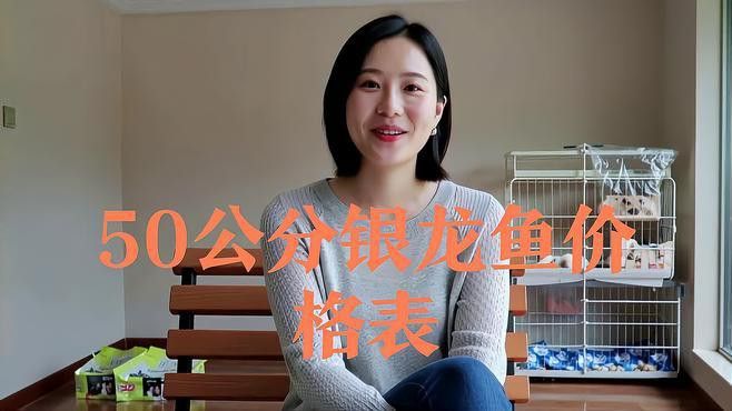 白色銀龍魚多少錢一條啊圖片