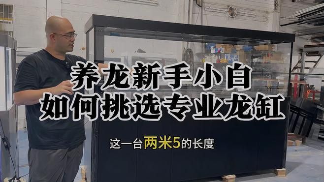 專業龍魚缸推薦