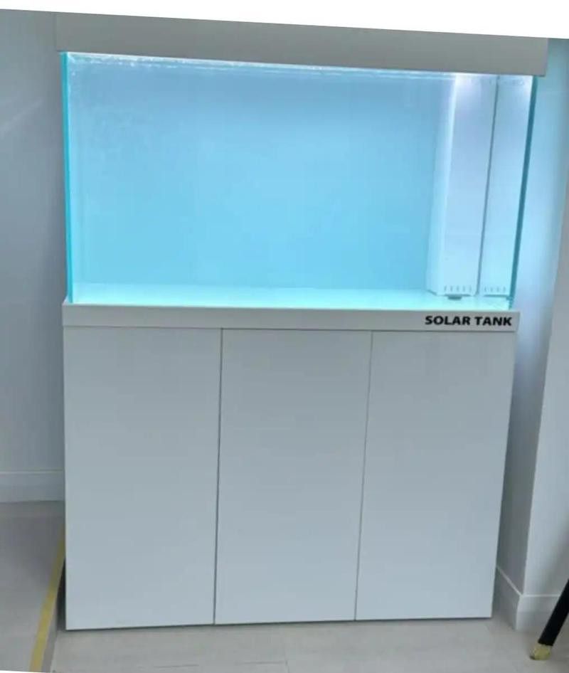 專業龍魚缸推薦