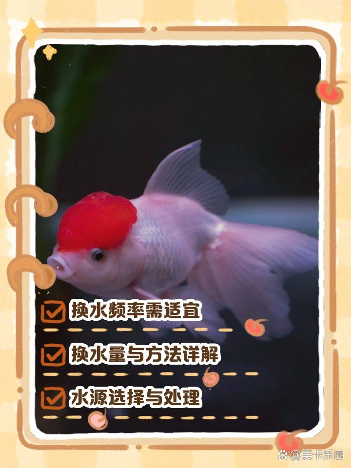 紅眼白子招財龍幼魚期多久換一次水？