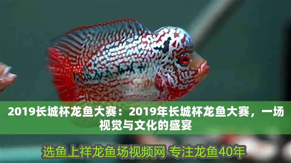 2019長城杯龍魚大賽：2019年長城杯龍魚大賽，一場視覺與文化的盛宴