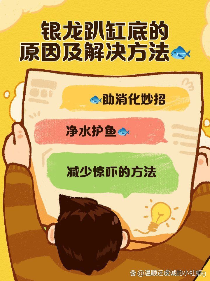 銀龍魚趴缸幾天會死嗎