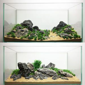 魚缸造景設計草圖，水草選擇與搭配指南