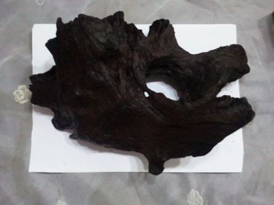 龍魚沉木石頭：沉木和石頭在龍魚缸中的作用主要體現在以下幾個方面