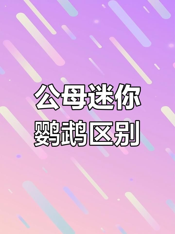 迷你鸚鵡魚配對的前兆