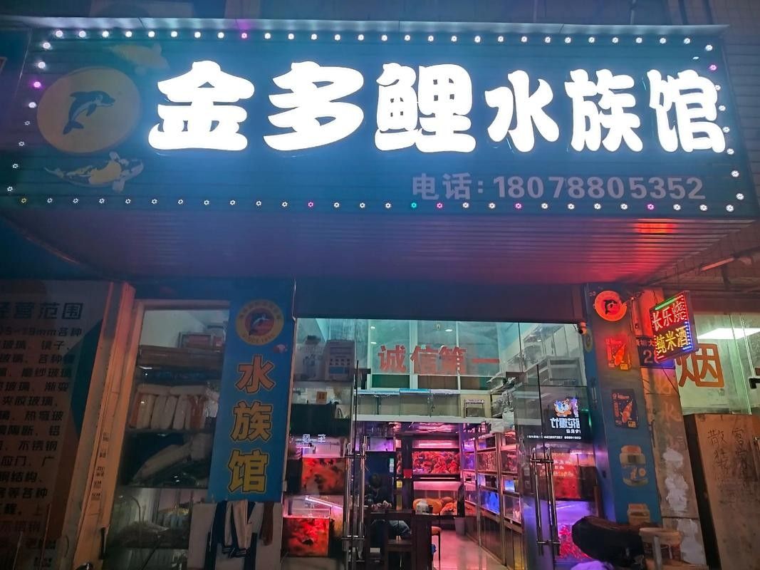 阜新龍魚專賣店
