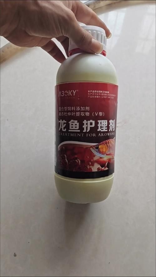 龍魚專用魚藥有哪些品牌推薦？