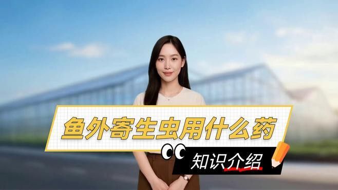 紅龍魚感染外寄后如何治療？