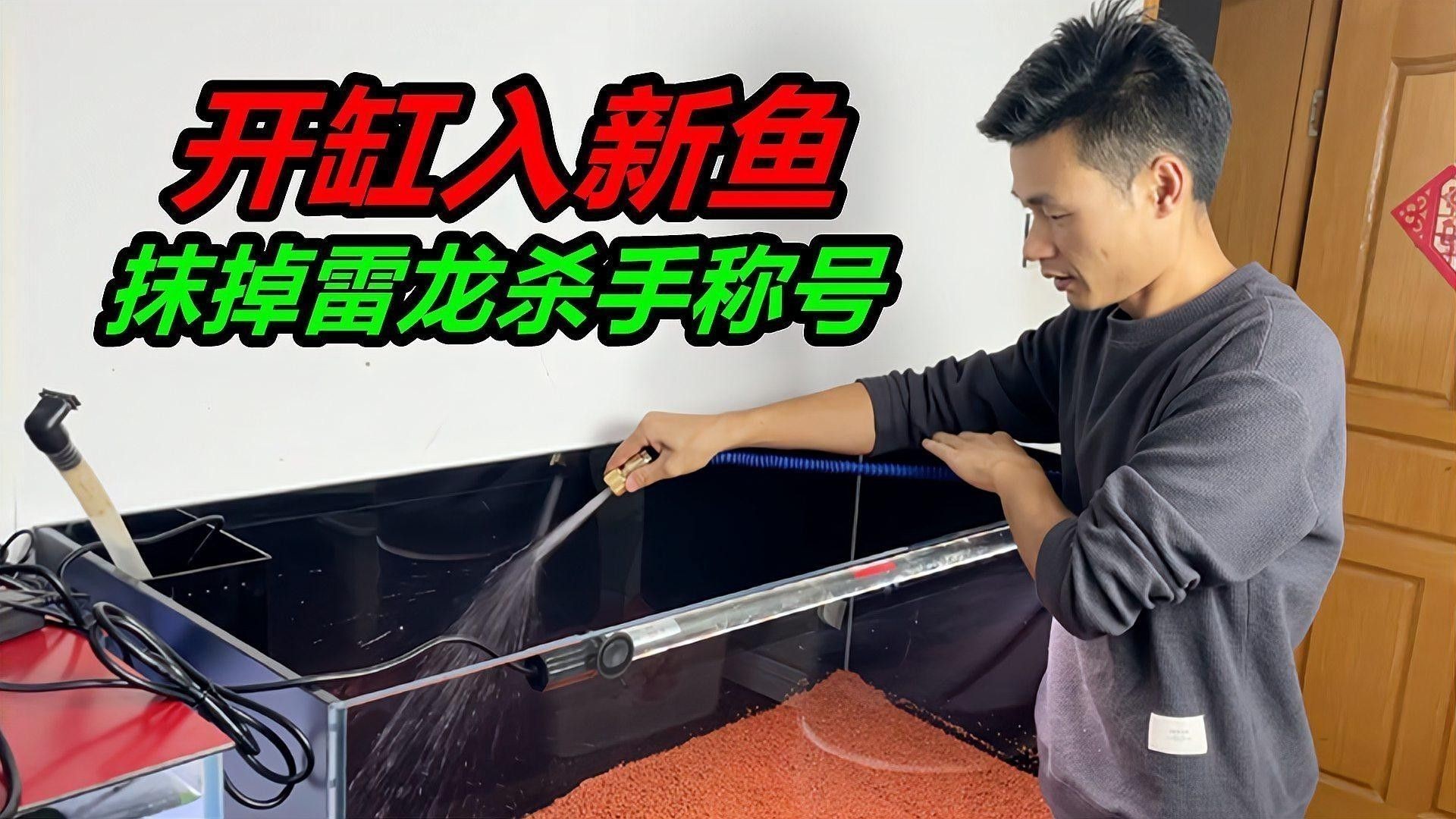 雷龍魚兩條魚可以一起養嗎？