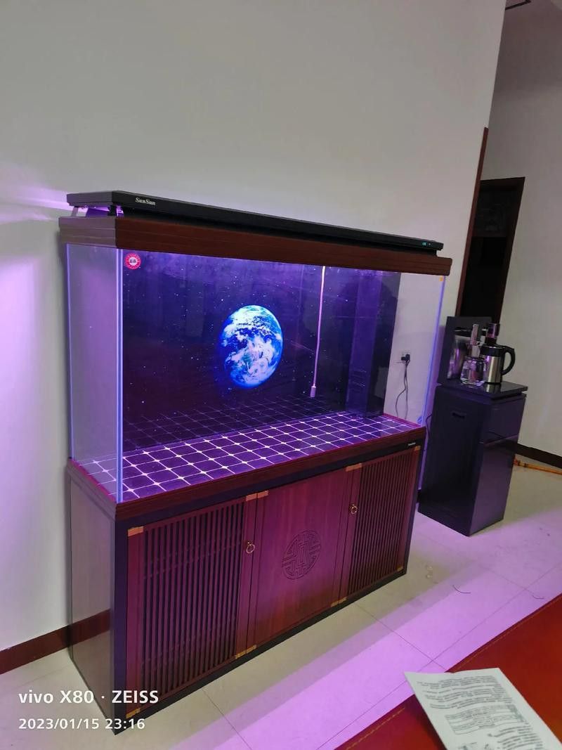 有哪些品牌過濾器適合金頭龍魚？