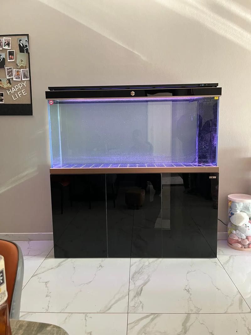 有哪些品牌過濾器適合金頭龍魚？