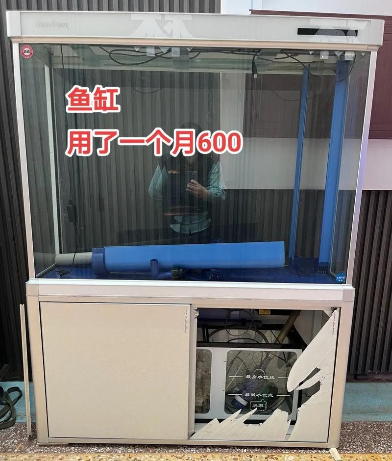 有哪些品牌過濾器適合金頭龍魚？