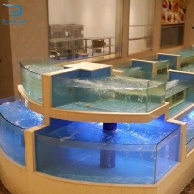 大型龍魚池（大型龍魚池的設計與建設）