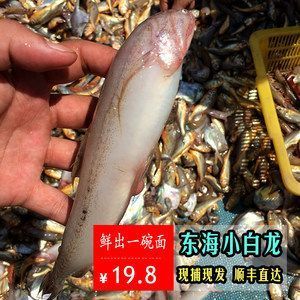 白色金龍魚吃什么食物長得快又好養(yǎng)