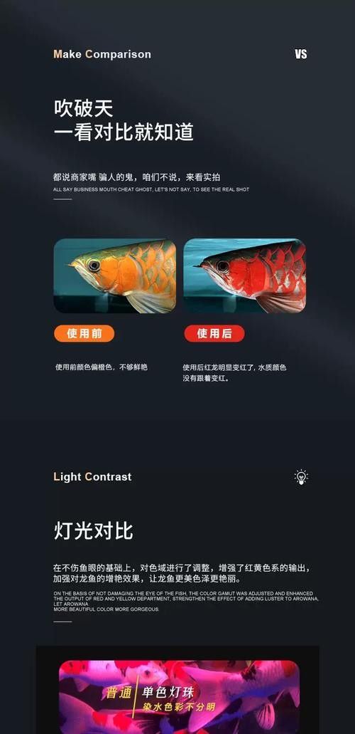 龍魚缸用什么燈最好呢圖片 龍魚百科 第17張 龍魚缸用什么燈最好呢圖片 龍魚缸用什么燈最好呢圖片 龍魚百科 第17張