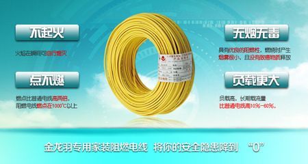 深圳金龍魚(yú)電線廠家（深圳金龍羽電線廠家）