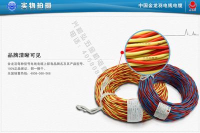 深圳金龍魚(yú)電線廠家（深圳金龍羽電線廠家）