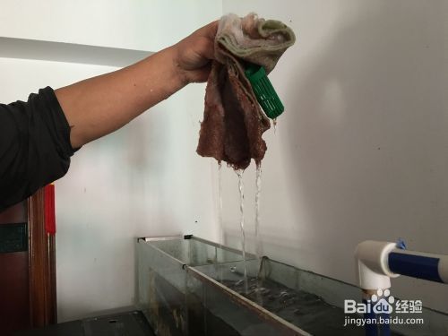 紅龍魚怎么養體型好看圖片視頻大全（紅龍魚怎么養體型好看圖片視頻大全下載）