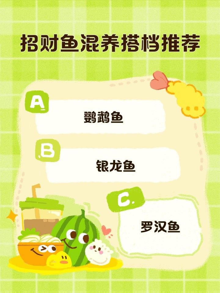 銀龍魚(yú)跟羅漢魚(yú)混養(yǎng) 銀龍魚(yú)跟羅漢魚(yú)混養(yǎng) 龍魚(yú)百科 第4張