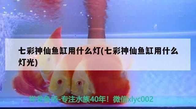 雪龍魚鹽腌制的具體步驟：雪龍魚的鹽腌制過(guò)程包括準(zhǔn)備原料、清洗、切片和腌制 雪龍魚鹽腌制的具體步驟：雪龍魚的鹽腌制過(guò)程包括準(zhǔn)備原料、清洗、切片和腌制 龍魚百科 第1張