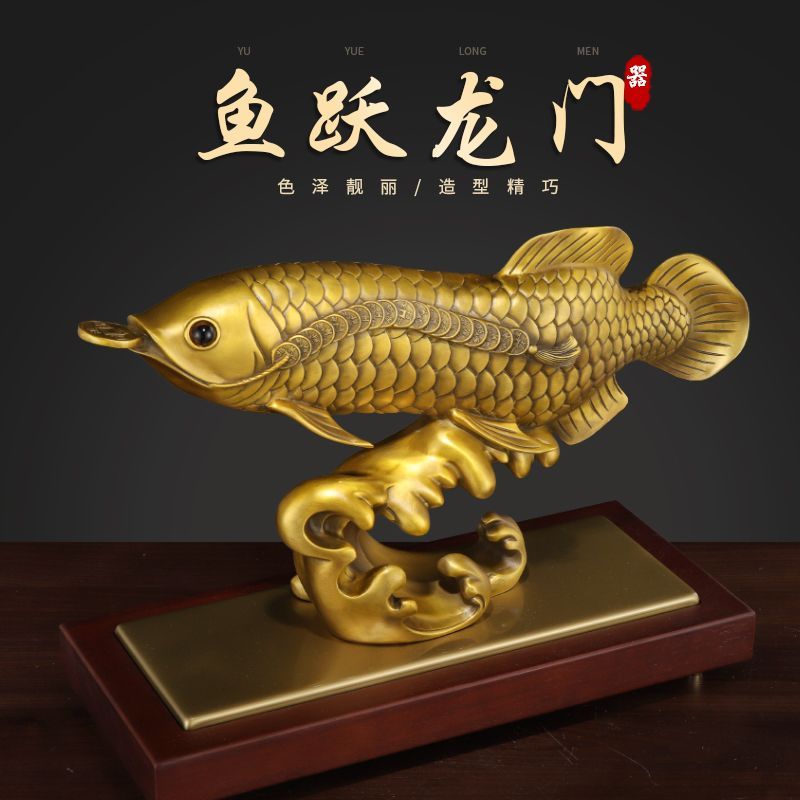 金龍魚送人要注意啥問題：送金龍魚需要注意多個因素，金龍魚送人要注意啥問題