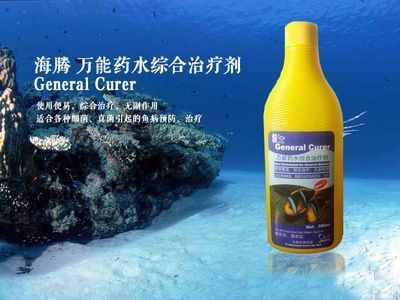 龍魚萬能藥水發黃：龍魚萬能藥水發黃怎么辦