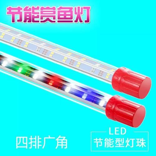 有哪些節能型福龍魚設備？