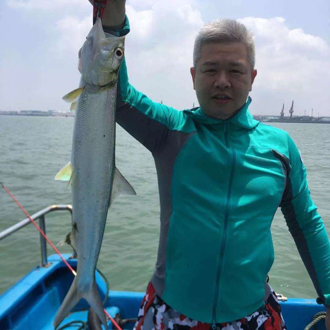 古典紫羅蘭龍魚：紫羅蘭龍魚價格解析，從選購到飼養的全面指南