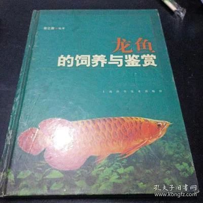龍魚飼養(yǎng)與鑒賞作文400字怎么寫，龍魚飼養(yǎng)與鑒賞作文：龍魚的飼養(yǎng)與鑒賞作文 龍魚飼養(yǎng)與鑒賞作文400字怎么寫，龍魚飼養(yǎng)與鑒賞作文：龍魚的飼養(yǎng)與鑒賞作文 龍魚百科 第2張