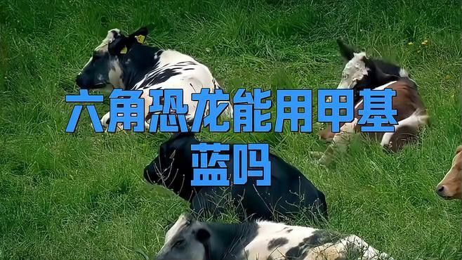 六角龍魚爛腳丫怎么治