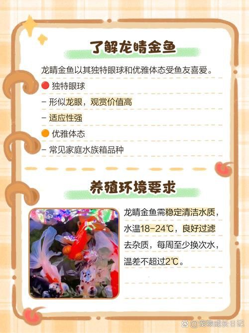 哪里可以購買到龍睛魚？