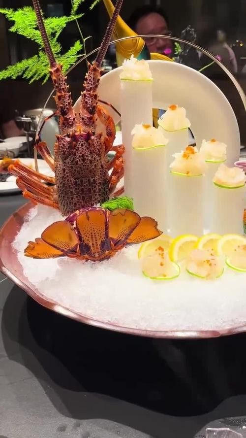 有沒有更多高清龍蝦攝影作品? 龍魚百科 第9張 有沒有更多高清龍蝦攝影作品? 有沒有更多高清龍蝦攝影作品? 龍魚百科 第9張