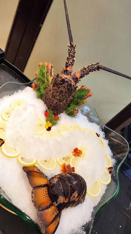 有沒有更多高清龍蝦攝影作品? 龍魚百科 第15張 有沒有更多高清龍蝦攝影作品? 有沒有更多高清龍蝦攝影作品? 龍魚百科 第15張