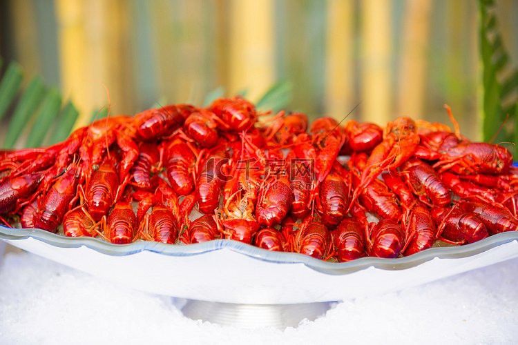 有沒有更多高清龍蝦攝影作品？ 有沒有更多高清龍蝦攝影作品？ 龍魚百科 第25張