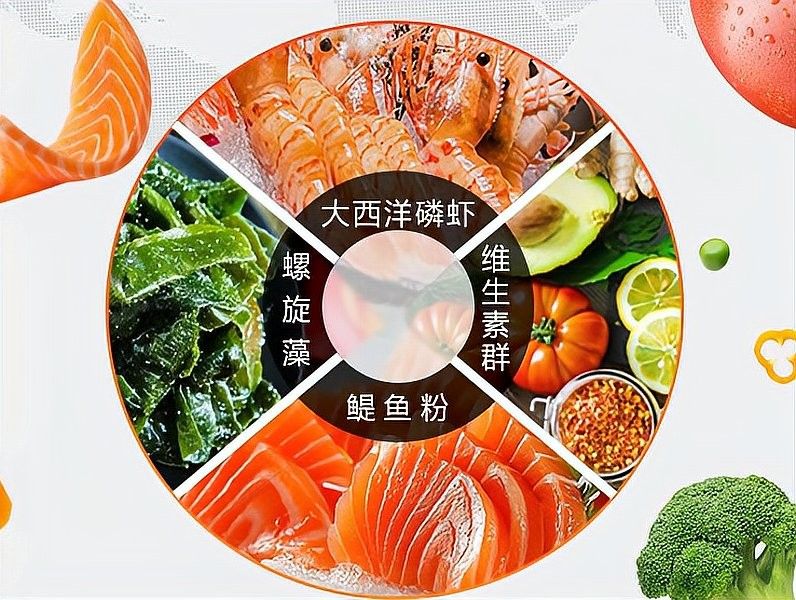 龍魚飼料哪個牌子好