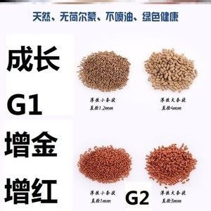龍魚專用飼料配方比例：如何選擇龍魚專用飼料配方
