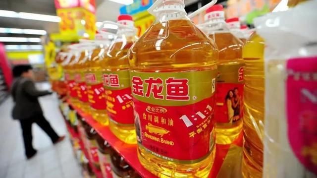過背金龍魚一年可以長多大（過背金龍魚一年的生長情況會受到哪些因素的影響？）