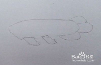 龍魚的簡筆畫：龍魚簡筆畫教程