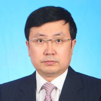 龍貓定點排便需要哪些道具？