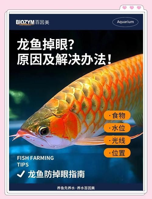 龍魚輕微掉眼怎么糾正圖片大全