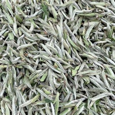 龍魚跟什么一起養比較好呢:龍魚跟什么一起養比較好?最佳混養伙伴推薦 龍魚百科 第2張 龍魚跟什么一起養比較好呢:龍魚跟什么一起養比較好?最佳混養伙伴推薦 龍魚跟什么一起養比較好呢:龍魚跟什么一起養比較好?最佳混養伙伴推薦 龍魚百科 第2張