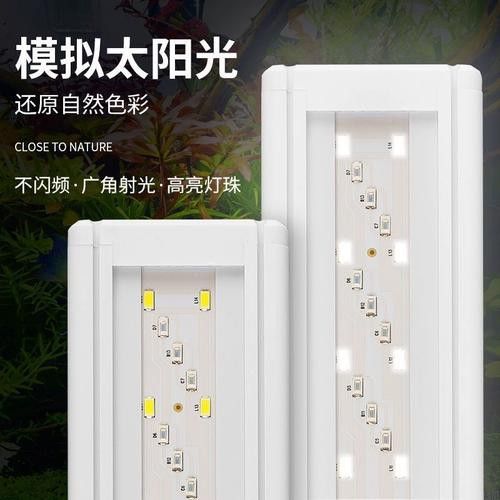 仟湖LED燈的價格是多少？