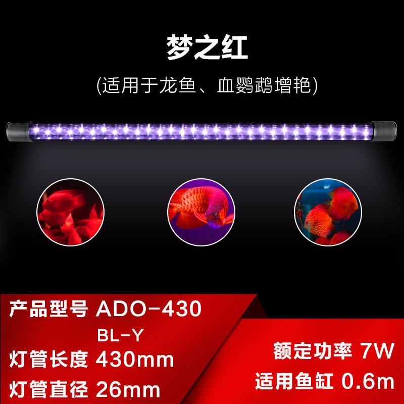 龍魚燈可以側(cè)：不同龍魚品種側(cè)燈選擇