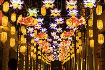 龍魚論壇官網網址（龍魚養殖技巧分享）