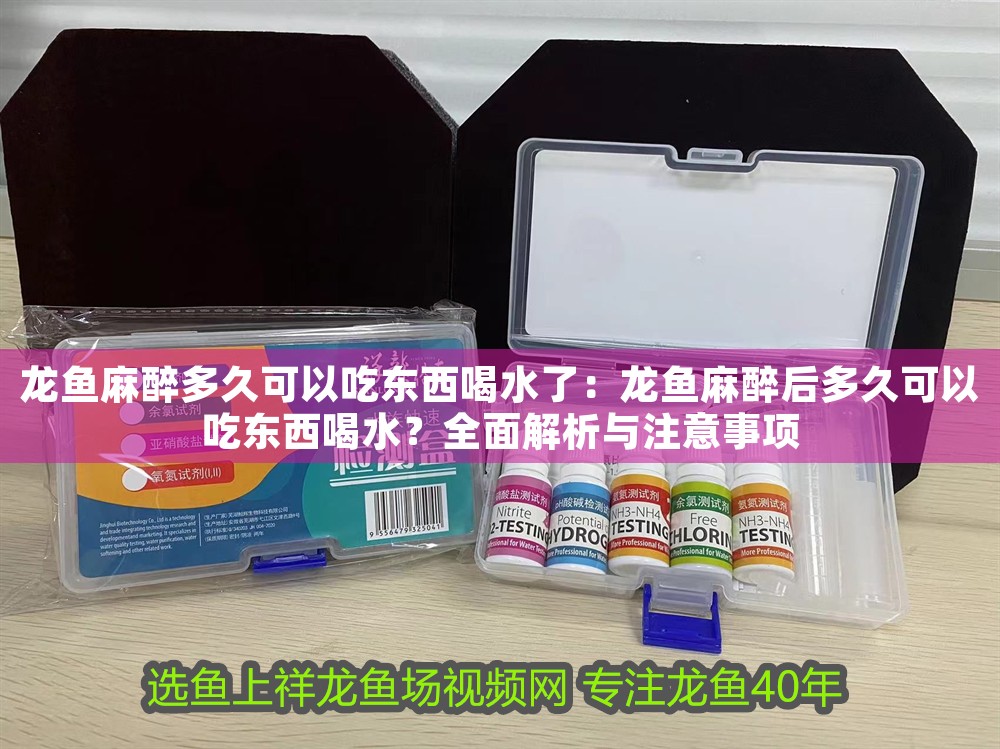 龍魚麻醉多久可以吃東西喝水了：龍魚麻醉后多久可以吃東西喝水？全面解析與注意事項
