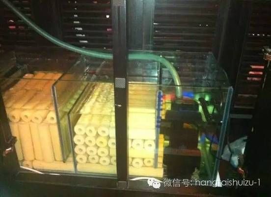 魚缸選擇水泵的原則（如何選擇節能魚缸水泵）