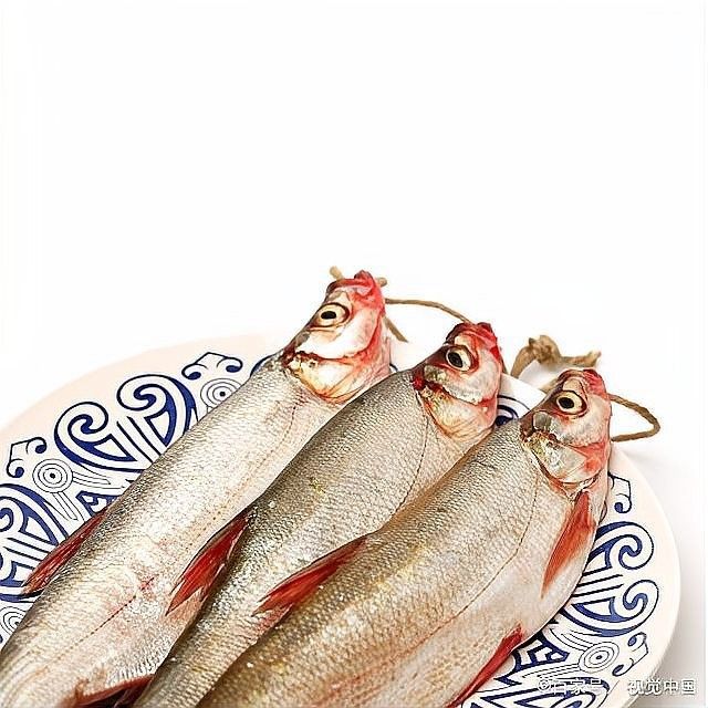 龍魚和翹嘴區別在哪兒