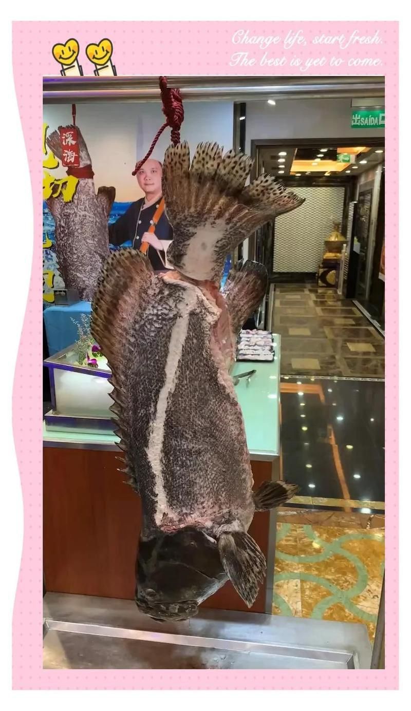 龍躉是海鮮嗎還是河鮮