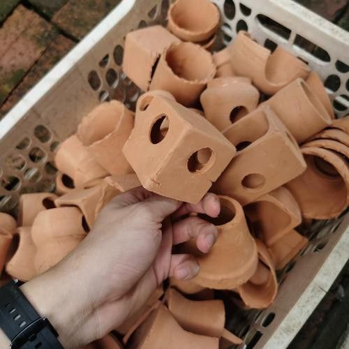 如何為六角龍魚提供躲避空間？